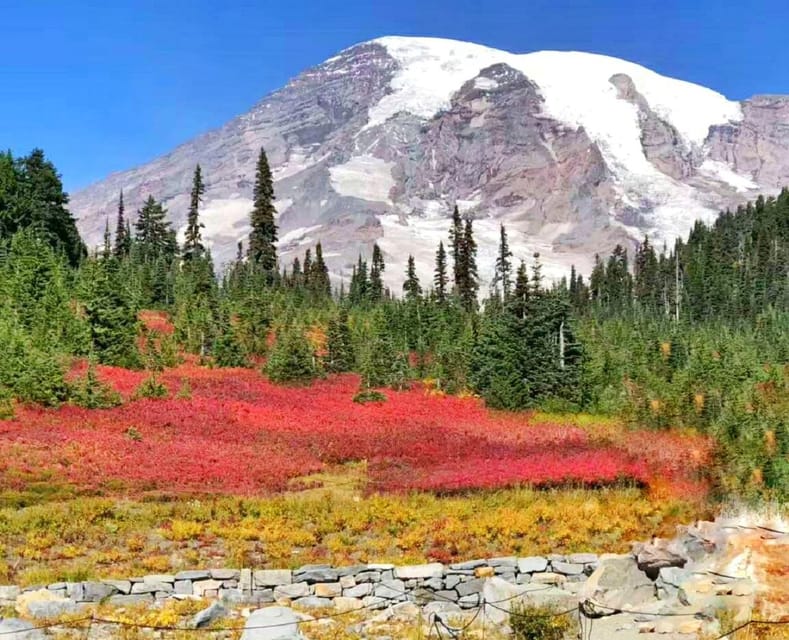 From Seattle: Mount Rainier National Park 1-Day Tour - Key Points