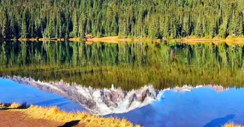 From Seattle: Mount Rainier National Park 1-Day Tour - Summer Itinerary