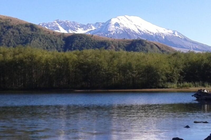 From Seattle: Mount Saint Helens Monument Private Day Trip - Historical Context of Mount Saint Helens