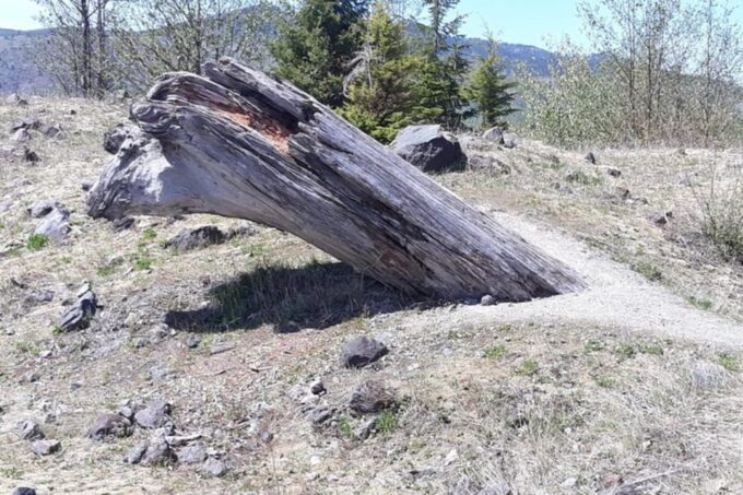 From Seattle: Mount Saint Helens Monument Private Day Trip - Exploring Johnston Ridge and Learning Centers