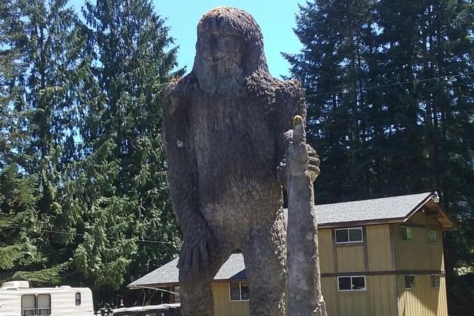 From Seattle: Mount Saint Helens Monument Private Day Trip - Optional Riverside Lunch Experience