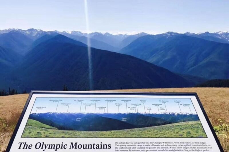 From Seattle: Olympic National Park Full-Day Tour - Important Information and Guidelines