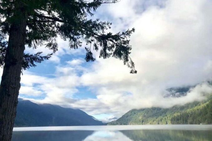 From Seattle: Olympic National Park Full-Day Tour - Customer Feedback