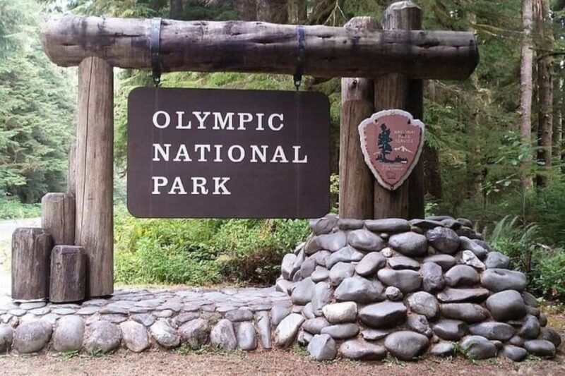 From Seattle: Olympic National Park Full Day Tour - Itinerary