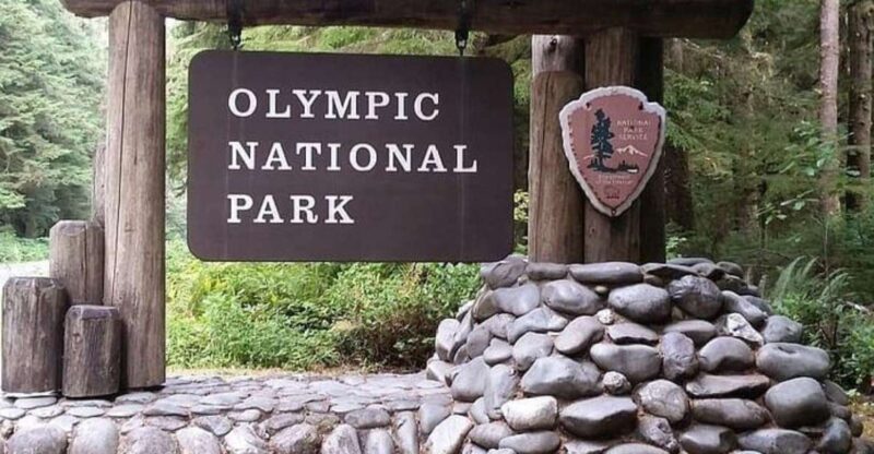 From Seattle: Olympic National Park Full Day Tour - Experience Highlights