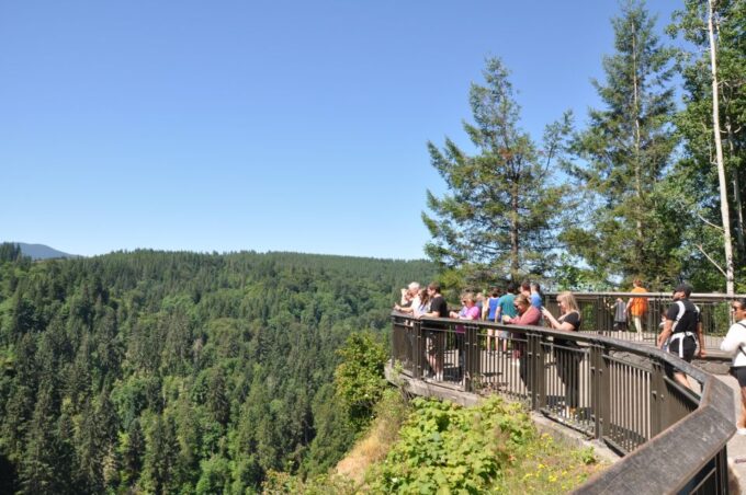 From Seattle: Snoqualmie Falls and Wineries Tour W/ Transfer - Exploring Woodinville Wineries