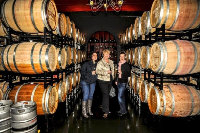 From Seattle: Snoqualmie Falls & Woodinville Wine Tasting - Winery Visits and Tastings