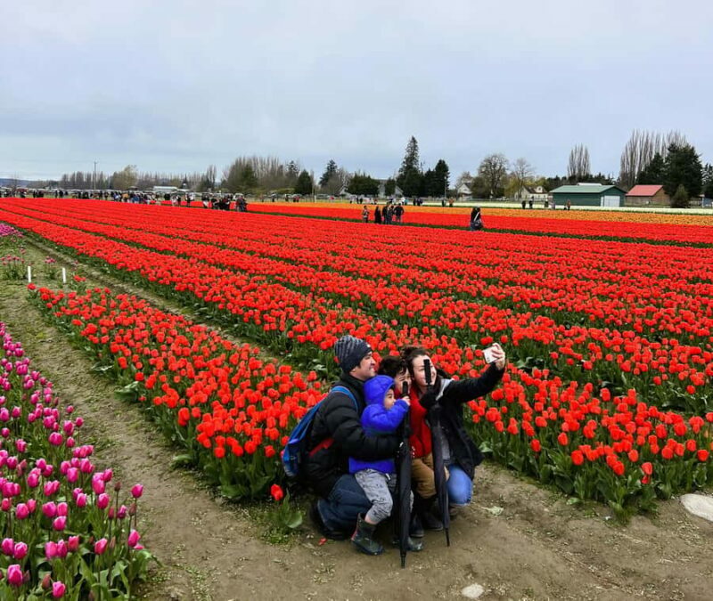 From Seattle: Tour of Skagit Valley Tulip Festival - The Scenic Drive and Additional Stops