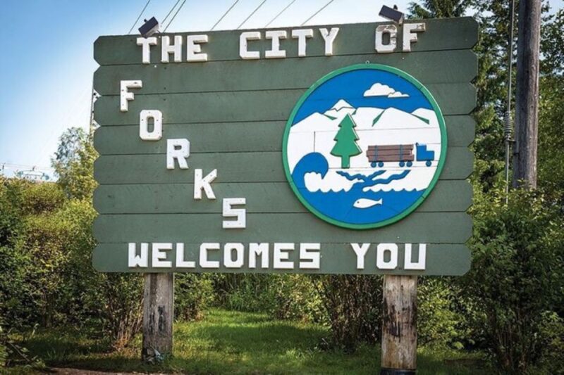 From Seattle: Twilight Forks Washington Tour - Suitability and Participant Information