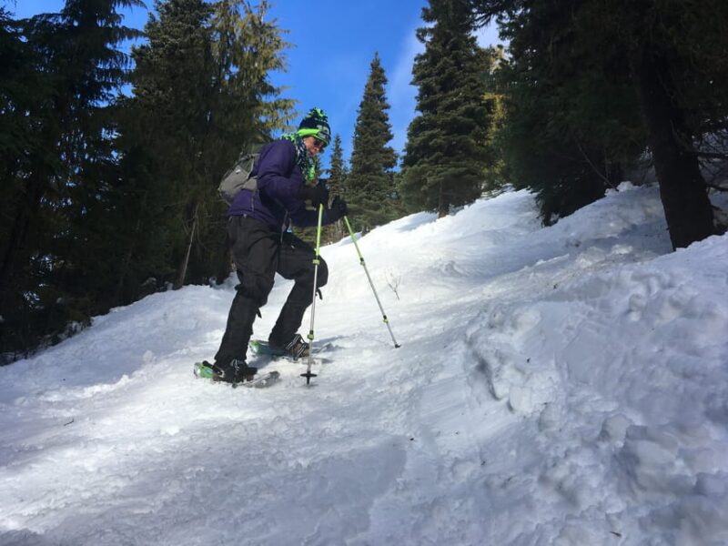From Seattle: Winter Snowshoeing in the Cascade Mountains - Inclusions