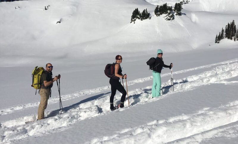 From Seattle: Winter Snowshoeing in the Cascade Mountains - Preparation and Safety