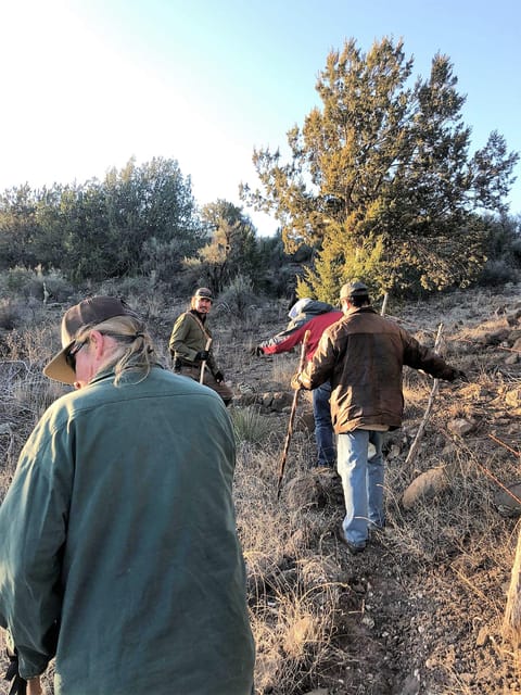 From Sedona: Archeology and Nature Hike - Trekking Through Desert Landscapes