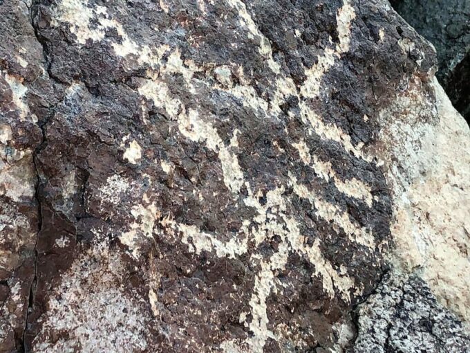 From Sedona: Archeology and Nature Hike - Customer Feedback