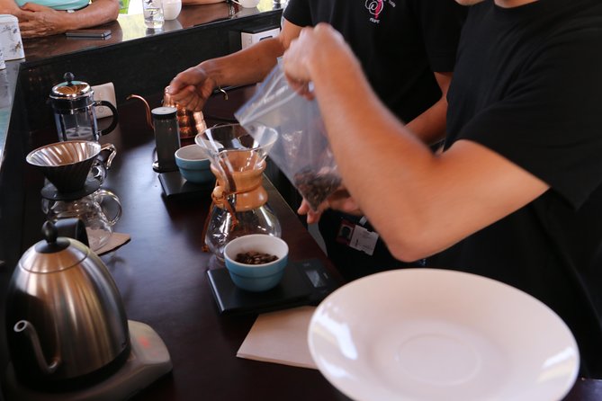 From Seed to Cup - Coffee Experience at La Palma Y El Tucan - Key Points