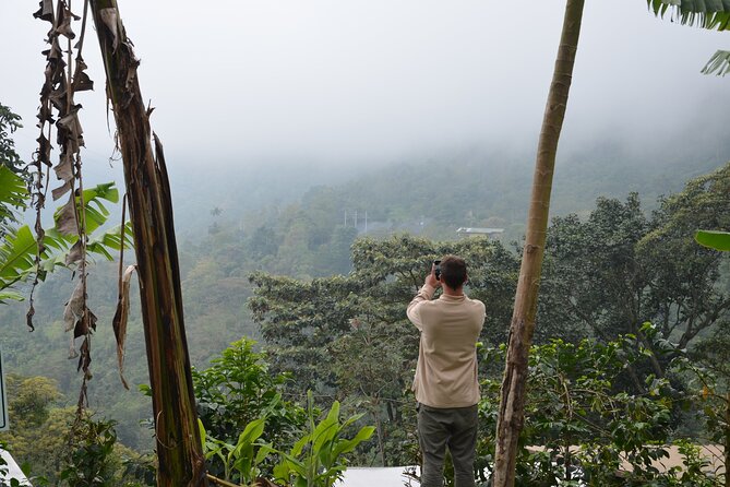 From Seed to Cup - Coffee Experience at La Palma Y El Tucan - Knowledgeable Guide Insights