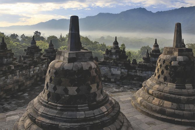 From Semarang Port: Borobudur Temple Private Shore Excursion - Cancellation Policy