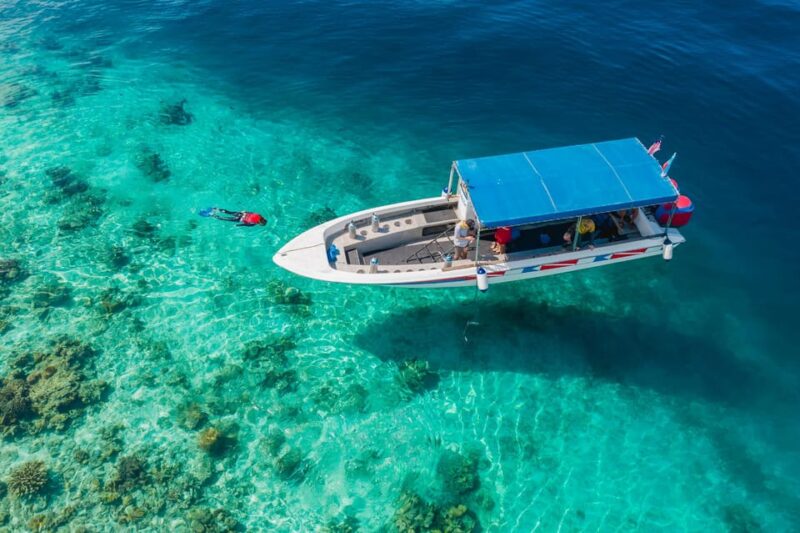 From Semporna: Mabul and Kapalai Trip With Snorkel or Dive - Boat Transfer and Activities