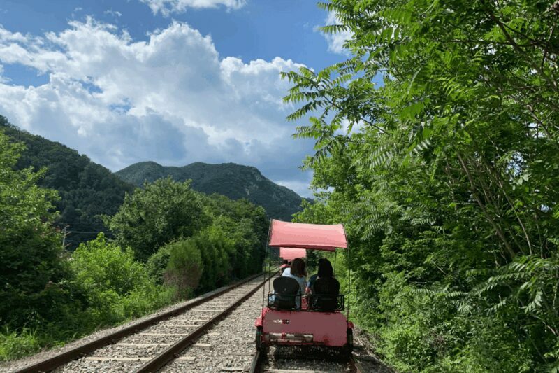 From Seoul: Alpaca Farm with Rail bike/ Luge Racing - Key Points