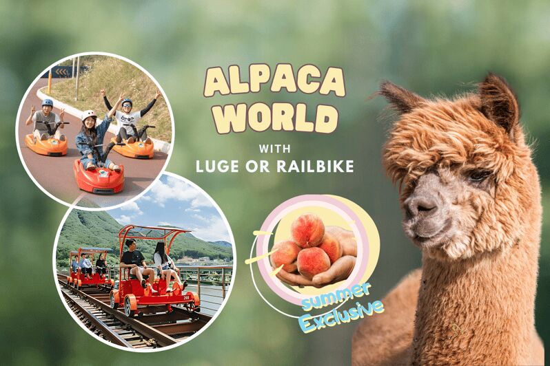 From Seoul: Alpaca Farm with Rail bike/ Luge Racing - An In-Depth Look at This Adventure