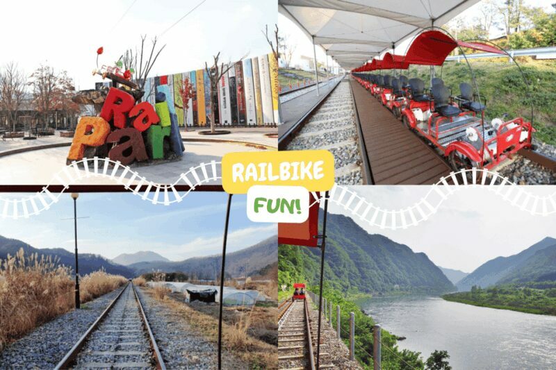 From Seoul: Alpaca Farm with Rail bike/ Luge Racing - The Sum Up