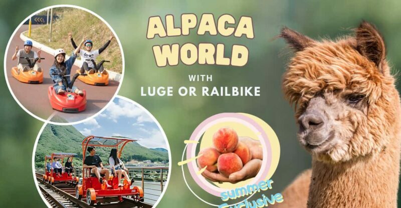 From Seoul: Alpaca Farm with Rail bike/ Luge Racing - FAQ