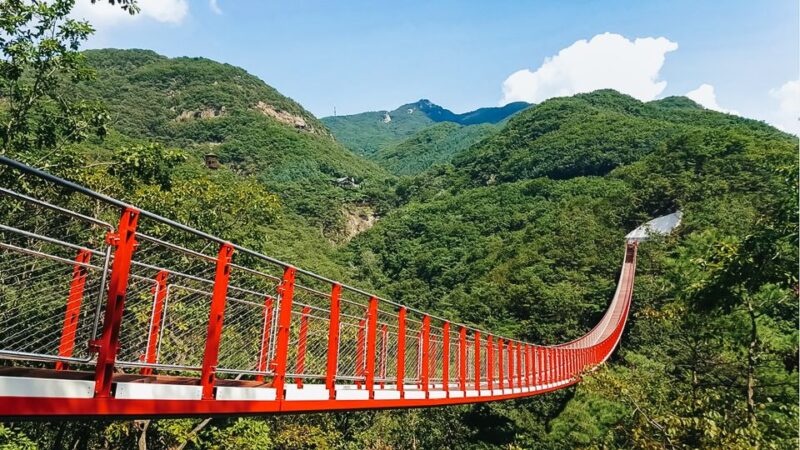 From Seoul: DMZ, 3rd Tunnel & Suspension Bridge Guided Tour - Tour Overview