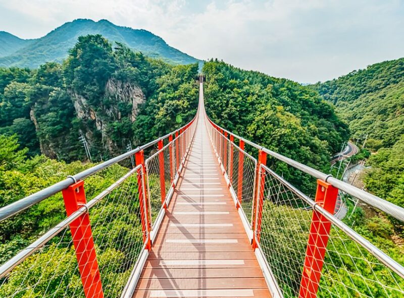 From Seoul: DMZ, 3rd Tunnel & Suspension Bridge Guided Tour - Important Information