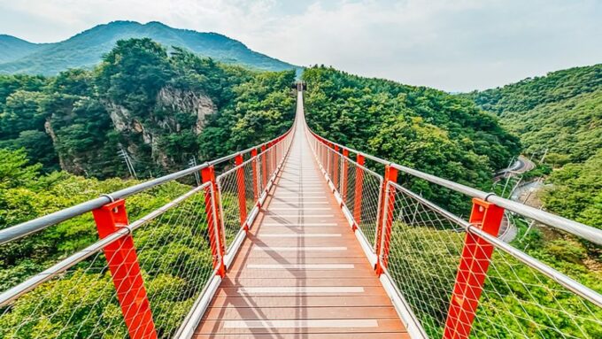 From Seoul: DMZ, 3rd Tunnel & Suspension Bridge Guided Tour - Tour Duration and Type