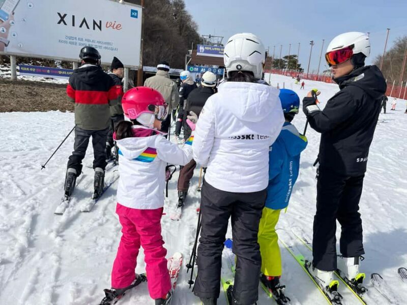 From Seoul: Elysian Ski Resort One Day Tour - Key Points