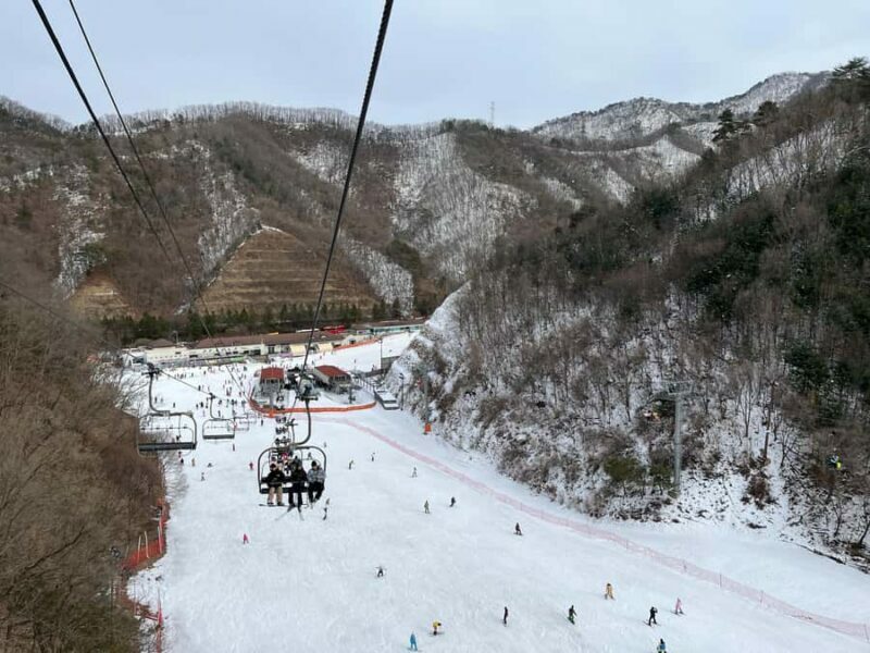 From Seoul: Elysian Ski Resort One Day Tour - What to Expect from the Tour