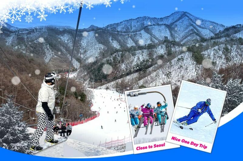 From Seoul: Elysian Ski Resort One Day Tour - Who Will Love This Tour?