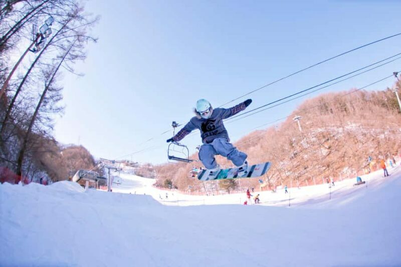 From Seoul: Elysian Ski Resort One Day Tour - Pricing and Value