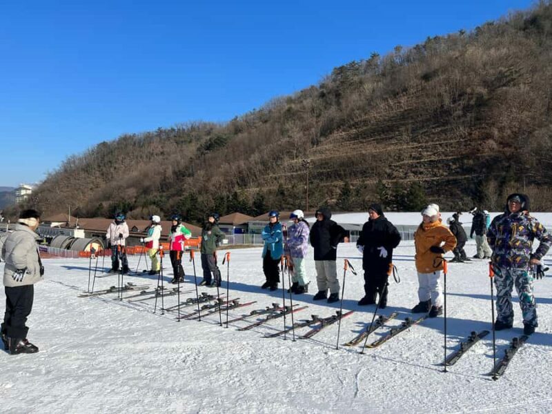 From Seoul: Elysian Ski Resort One Day Tour - Authentic Experiences from Reviews