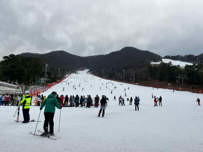 From Seoul: Elysian Ski Resort One Day Tour - FAQ
