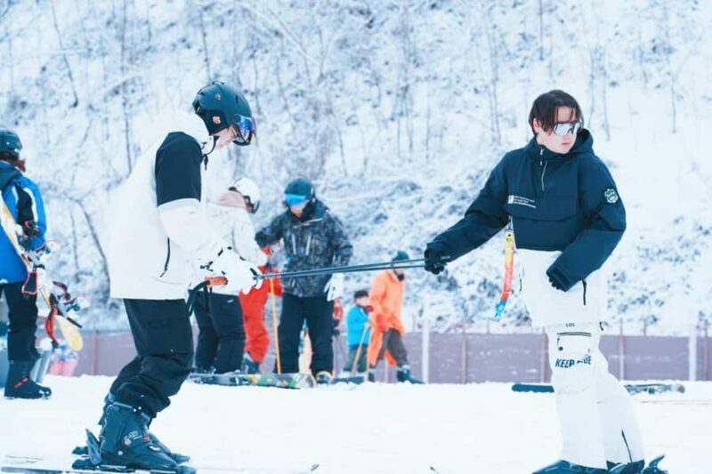From Seoul: Elysian Ski Resort with Rental & Basic Lesson - Introduction: Who Is This Tour For?