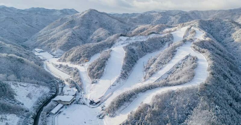 From Seoul: Elysian Ski Resort with Rental & Basic Lesson - What Travelers Say: Authentic Feedback
