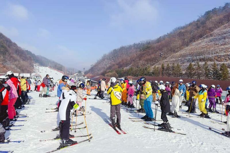 From Seoul: Elysian Ski Tour (Ski & Snowboard Full Package) - An In-Depth Look at the Elysian Ski Tour