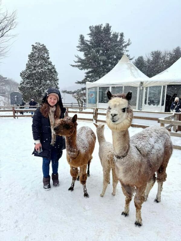 From Seoul: Eobi Ice Valley & Nami Island Day Trip - Starting Point and Transportation