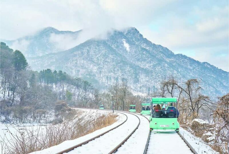 From Seoul: Eobi Ice Valley & Nami Island Day Trip - Alpaca World – Playful Encounters and Family Fun
