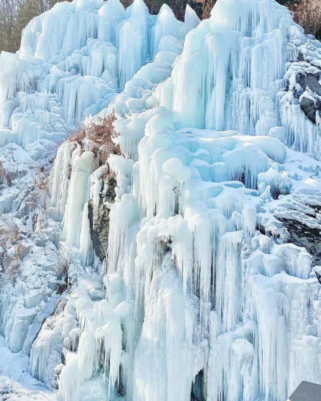 From Seoul: Eobi Ice Valley & Nami Island Day Trip - Optional Seasonal Highlights