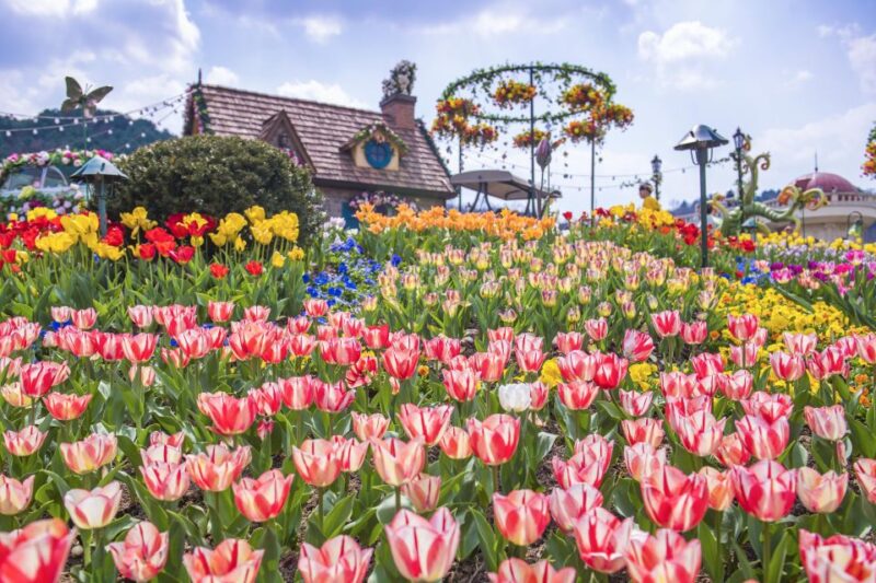 From Seoul: Everland Admission Ticket With Transfer - Transfer From Seoul