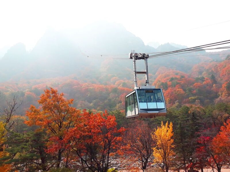 From Seoul: Mt. Seorak, Nami Island and Garden of Morning Calm Tour - Exploring the UNESCO-Listed Mt. Seorak
