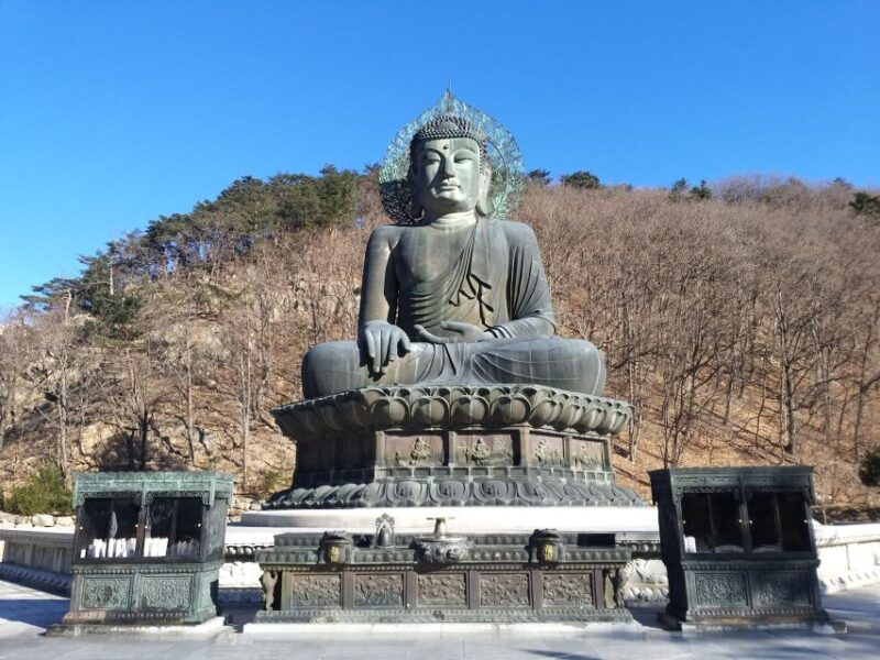 From Seoul: Mt. Seorak, Nami Island and Garden of Morning Calm Tour - Discovering the Tranquil Nami Island