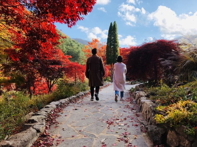 From Seoul: Mt. Seorak, Nami Island and Garden of Morning Calm Tour - Scenic Walkways and Photo Opportunities