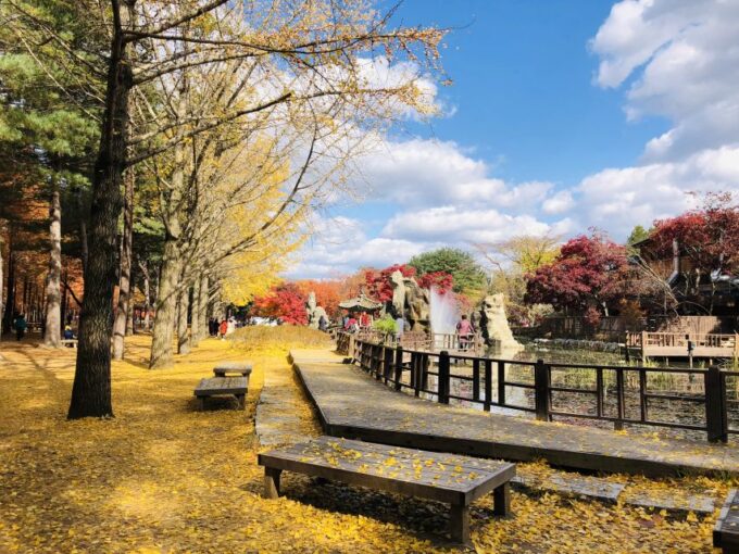 From Seoul: Mt. Seorak, Nami Island and Garden of Morning Calm Tour - Diverse Flora at Garden of Morning Calm