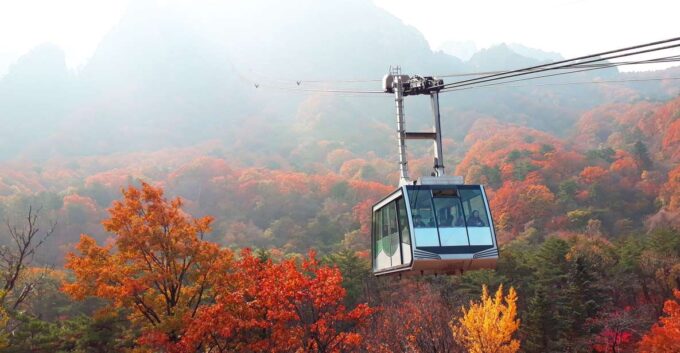 From Seoul: Mt. Seorak, Nami Island and Garden of Morning Calm Tour - Recap