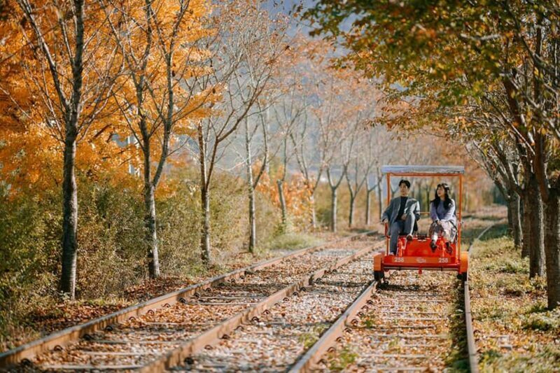 From Seoul: Nami Island, Korean Garden & Rail Bike Day Trip - Key Points