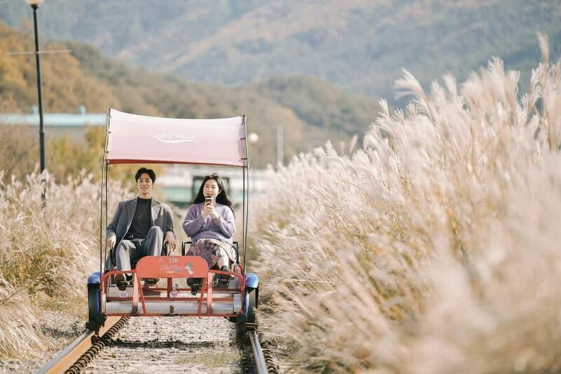 From Seoul: Nami Island, Korean Garden & Rail Bike Day Trip - Overview of the Tour Experience