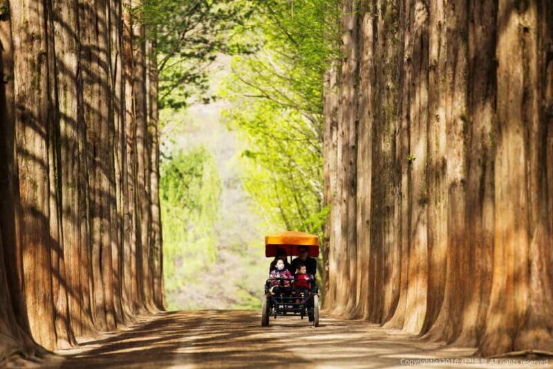 From Seoul: Nami Island, Korean Garden & Rail Bike Day Trip - FAQ