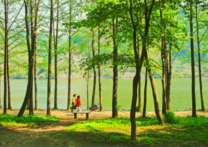 From Seoul: Nami Island, Korean Garden & Rail Bike Day Trip - Frequently Asked Questions